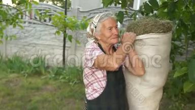 一位有困难的<strong>老年</strong>妇女举起一袋干草。 农业，孤独的<strong>老年</strong>，贫穷